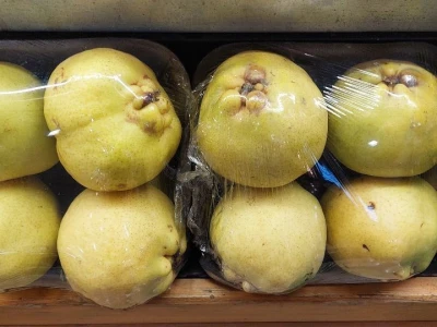 Poljoprivreda Turske