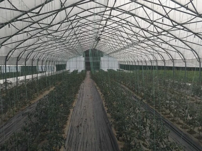 Poljoprivredna zadruga "Agroneven"
