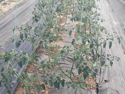 Poljoprivredna zadruga "Agroneven"