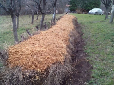 Poljoprivredno gazdinstvo „Aronija- Popović“ iz Banjaluke