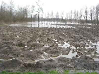 Poplave dovode u pitanje proljetnu sjetvu u desetak gradiških sela