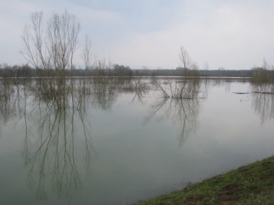 Poplave dovode u pitanje proljetnu sjetvu u desetak gradiških sela