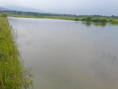 Poplave u TK