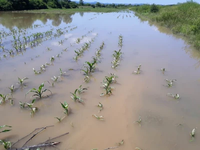 Poplave u TK