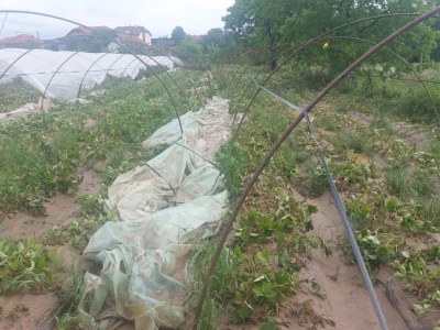 Poplave uništile zasade jagoda u Čeliću