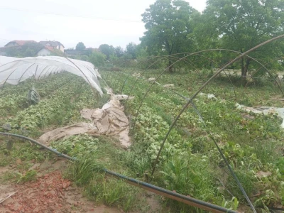 Poplave uništile zasade jagoda u Čeliću