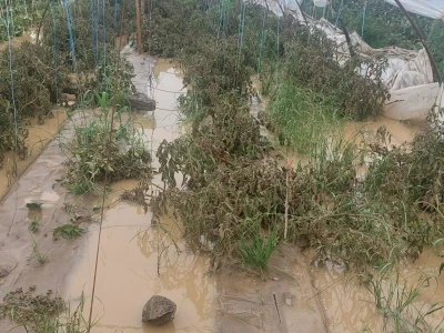 Poplave uništile zasade jagoda u Čeliću