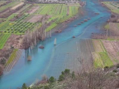 Poplavljeni vinogradi i voćnjaci u vrgoračkom polju.