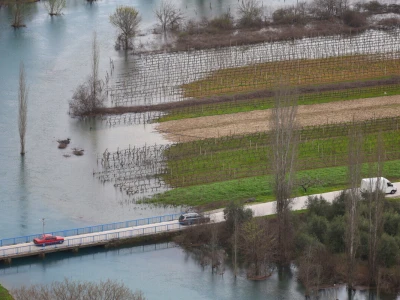 Poplavljeni vinogradi i voćnjaci u vrgoračkom polju.