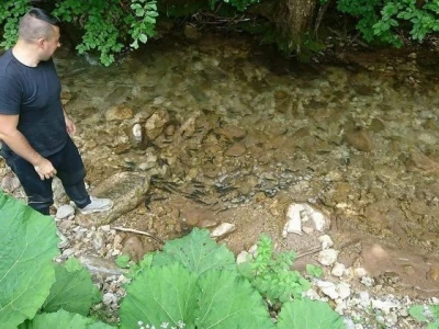Poribljavanje vodotoka