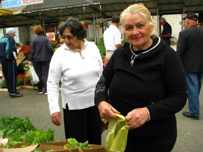 Porodica Purković