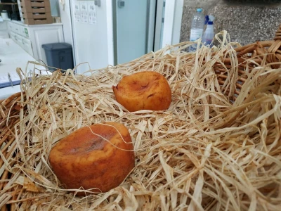 Portugal: mladi bježe od poštenog rada