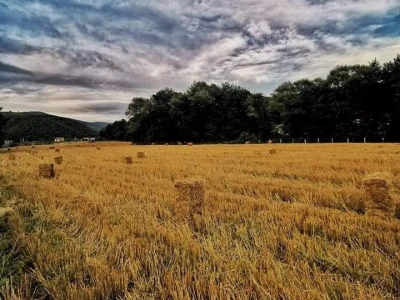 Posjeduju dvije vodenice, a uzgajaju i domaće povrće i žitarice
