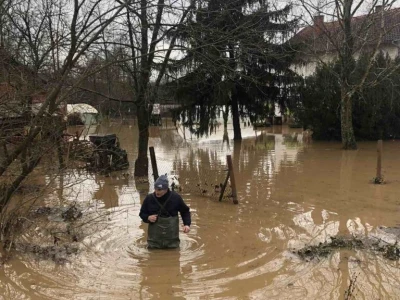 Potop u selima oko Gradiške - ugroženo 400 goveda