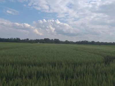 povrtarske i ratarske kulture
