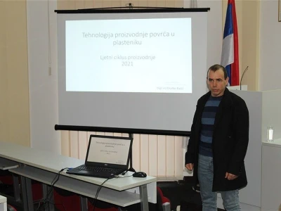 Povrtna stjenica