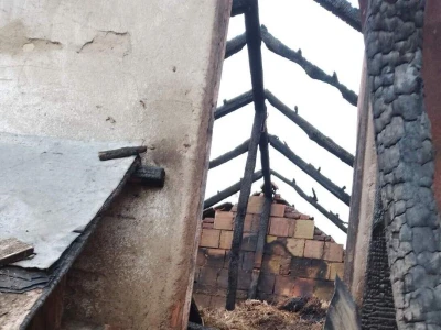 Požar na imanju Saše Miletića u Sokobanji