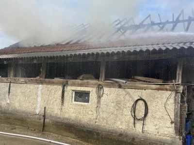 Požar na obiteljskoj farmi krava u Kamešnici