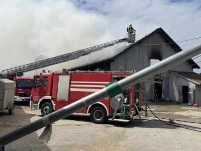Požar na obiteljskoj farmi krava u Kamešnici