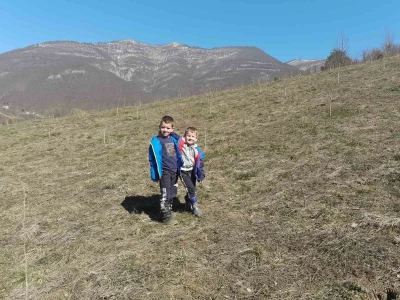 Predrag "spašava" pradjedovinu: Umjesto šiblja, lješnik!