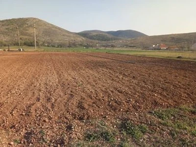 Poljoprivredno gazdinstvo Prguda