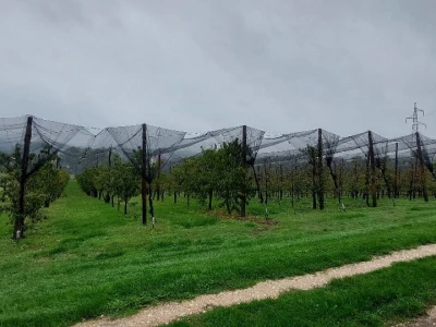 Prihrana voća nakon berbe