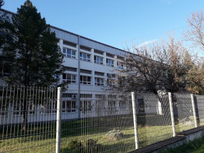 Bukovače iz školskog gljivarnika