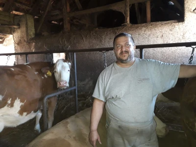 Od jedne do 550 litara mlijeka