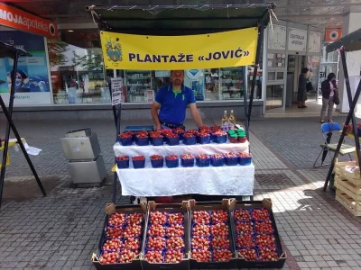 Prijedorčani, dođite i berite sami sebi jagode!