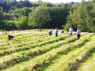 Prijedorčani, dođite i berite sami sebi jagode!