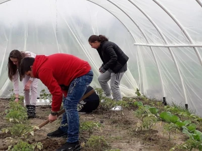 Prijedorske osnovne škole dobile plastenike