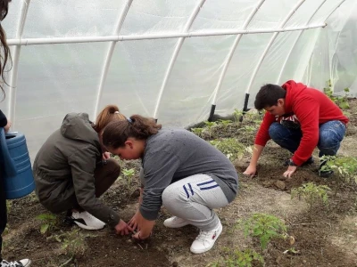 Prijedorske osnovne škole dobile plastenike