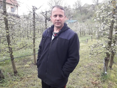 Prijić: Sve je traženije domaće voće i povrće