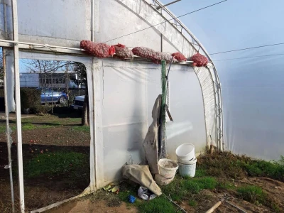 Priprema plastenika za sljedeću proizvodnu sezonu