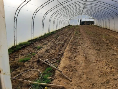 Priprema plastenika za sljedeću proizvodnu sezonu