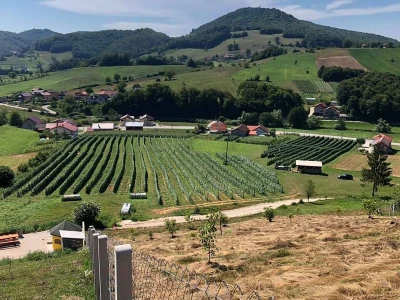 Proizvodnja kornšona