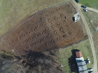 Projektiranje i podizanje voćnjaka