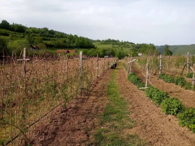 Proljetni radovi na mom imanju