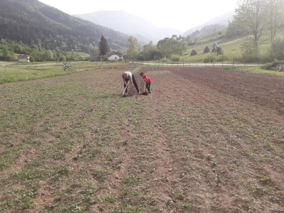 Proljetni radovi na mom imanju