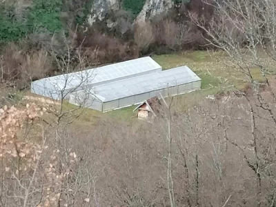 Prošle godine nisam mogla nanijeti povrća, a ove godine sam povećala proizvodnju