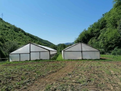Prošle godine nisam mogla nanijeti povrća, a ove godine sam povećala proizvodnju