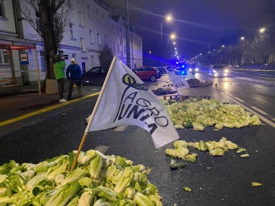 Prosvjedi u Poljskoj