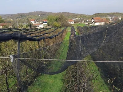 Protivgradne mreže