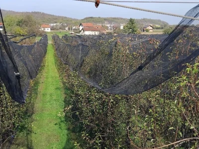 Protivgradne mreže