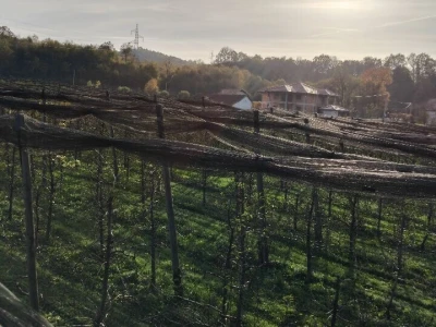 Protivgradne mreže
