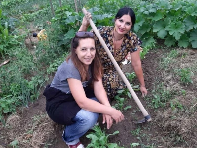 Prva urbana bašta u BiH: Kako su građani od zapuštenog gradskog zemljišta napravili vrt prepun povrća uzgojenog na bio način