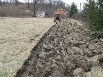Prva urbana bašta u BiH: Kako su građani od zapuštenog gradskog zemljišta napravili vrt prepun povrća uzgojenog na bio način