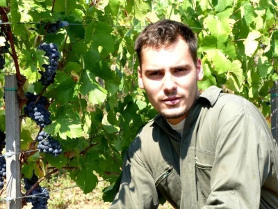 Prvi vinograd kod Markovića