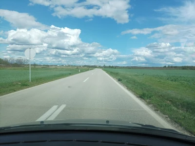 pšenica