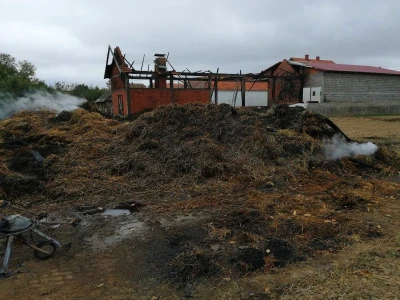 Pšenica u privatnom skladištu, otkupa nema